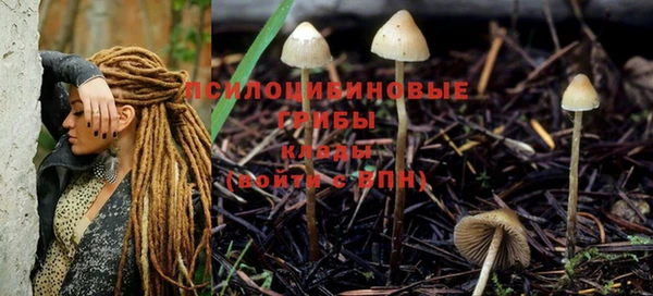 гашиш Алзамай