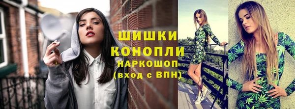бошки Алексин