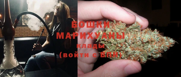 бошки Алексин