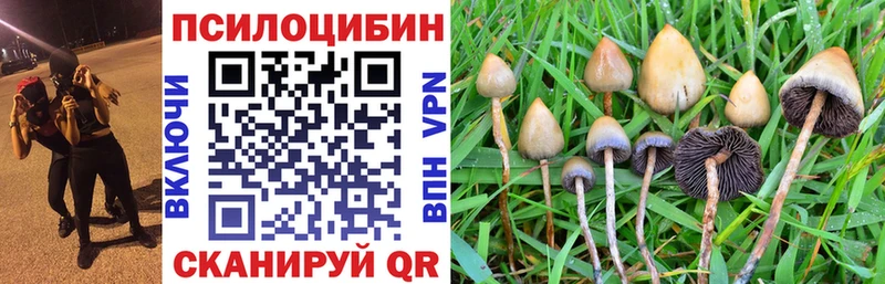 Псилоцибиновые грибы мухоморы  hydra сайт  Комсомольск 